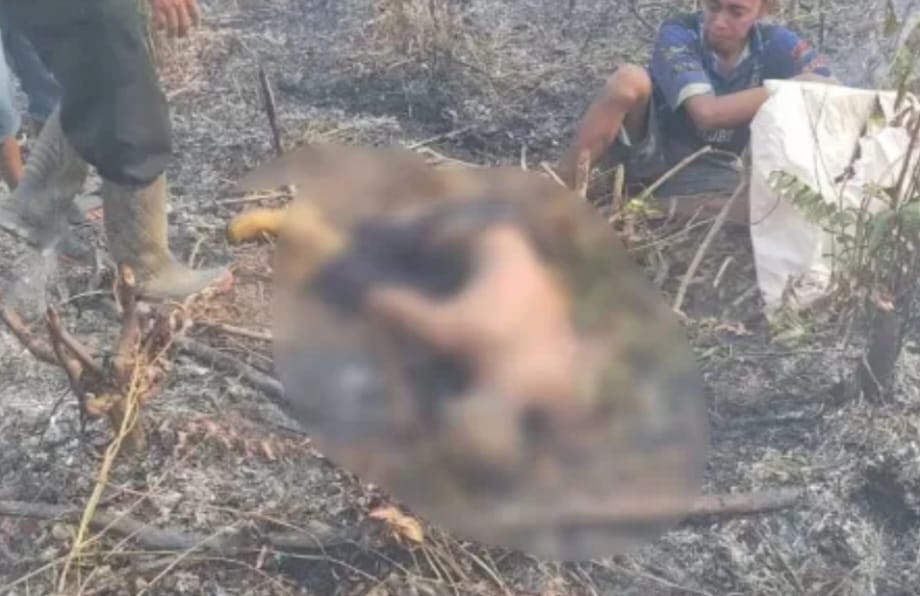 Tragis !! Kakek 72 Tahun Tewas Terkepung Api saat Bakar Lahan Sawit di Muratara