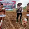 Dinas Pertanian Muratara Launching Lahan Jagung Siap Tanam di Desa Lesung Batu Muda
