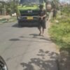 IMG-20250618-WA0014