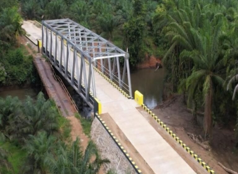 Screenshot_20260205_120146_Firefox