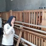 IMG-20260915-WA0034