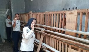 IMG-20260915-WA0034